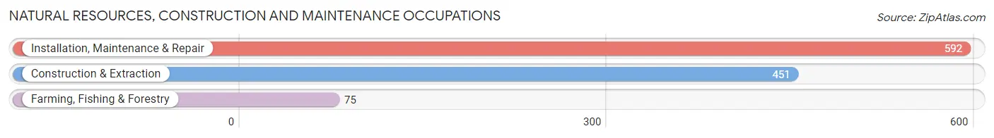 Natural Resources, Construction and Maintenance Occupations in Zip Code 53095