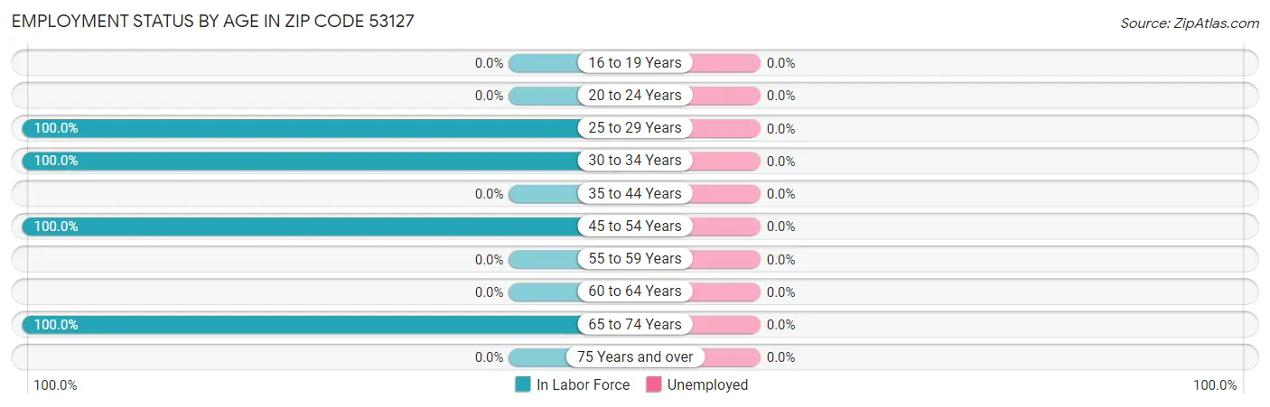 Employment Status by Age in Zip Code 53127