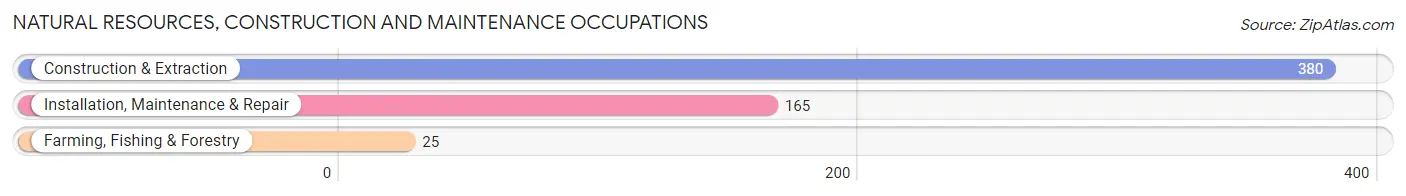 Natural Resources, Construction and Maintenance Occupations in Zip Code 53128