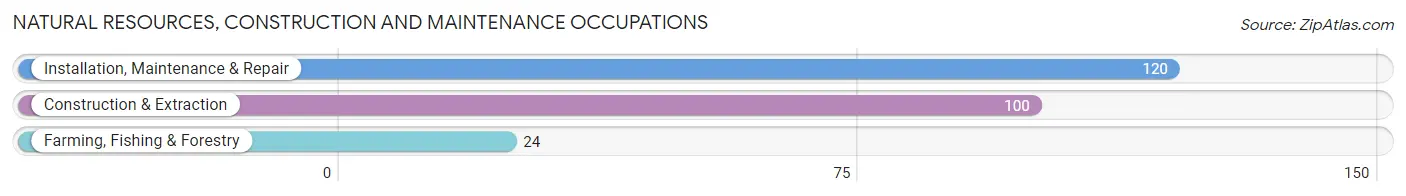 Natural Resources, Construction and Maintenance Occupations in Zip Code 53206