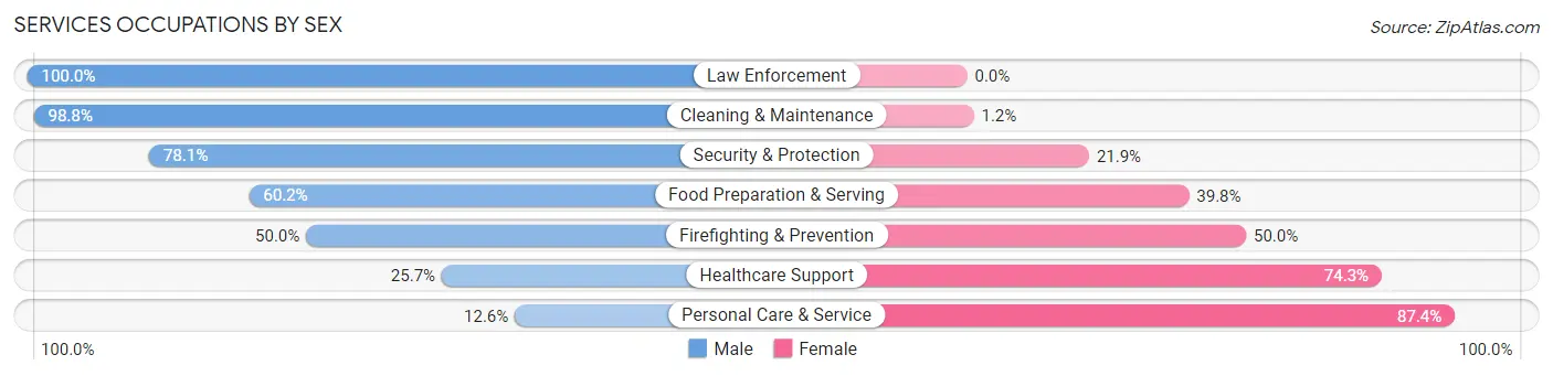 Services Occupations by Sex in Zip Code 53228