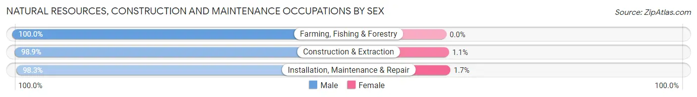 Natural Resources, Construction and Maintenance Occupations by Sex in Zip Code 53548