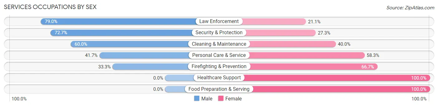 Services Occupations by Sex in Zip Code 53816