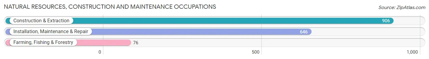 Natural Resources, Construction and Maintenance Occupations in Zip Code 54729