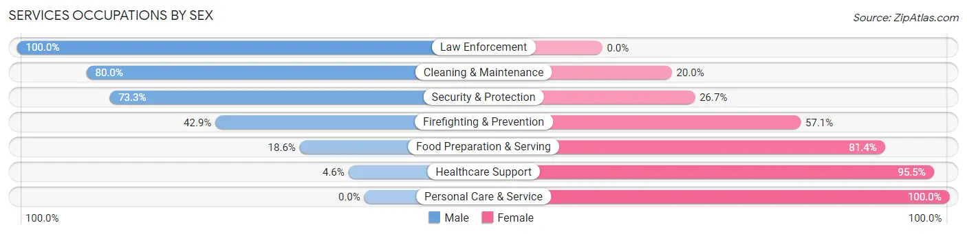 Services Occupations by Sex in Zip Code 54859
