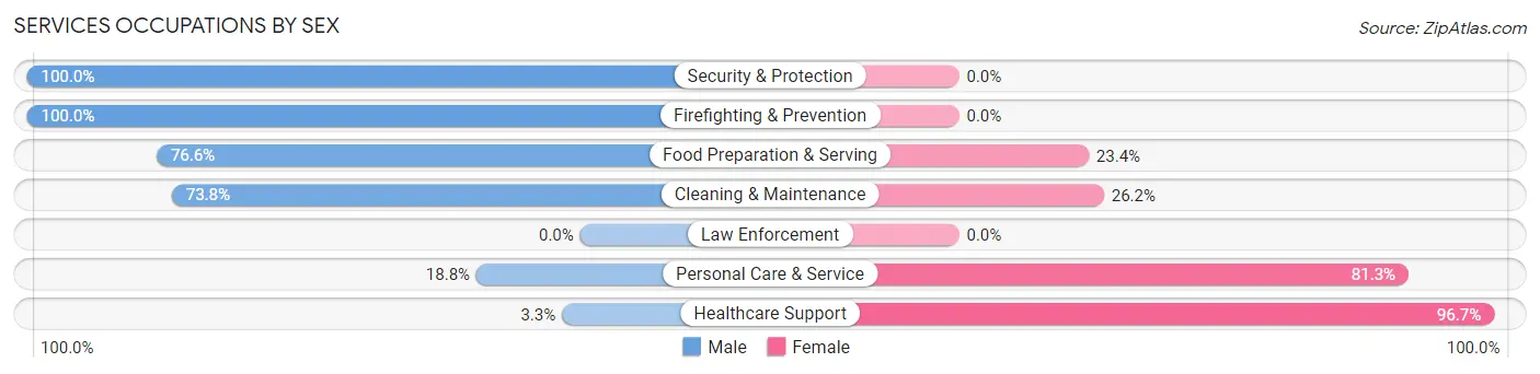 Services Occupations by Sex in Zip Code 54876