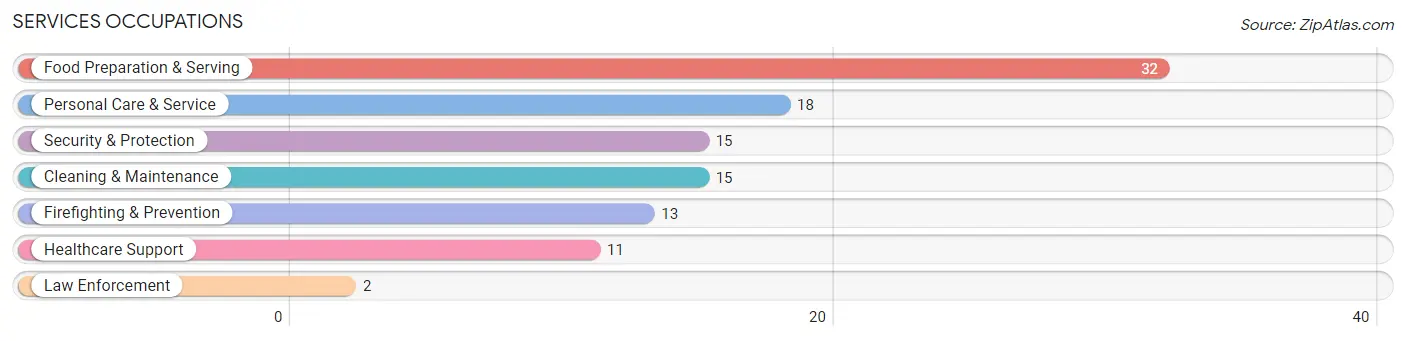 Services Occupations in Zip Code 54896