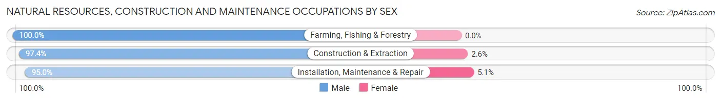 Natural Resources, Construction and Maintenance Occupations by Sex in Zip Code 54956