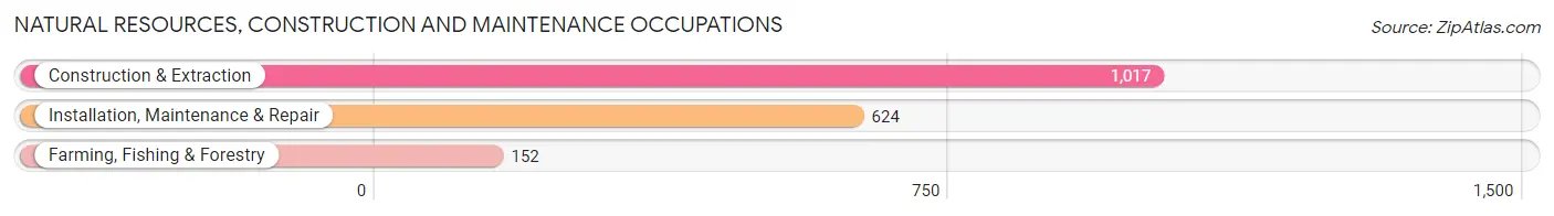 Natural Resources, Construction and Maintenance Occupations in Zip Code 55021