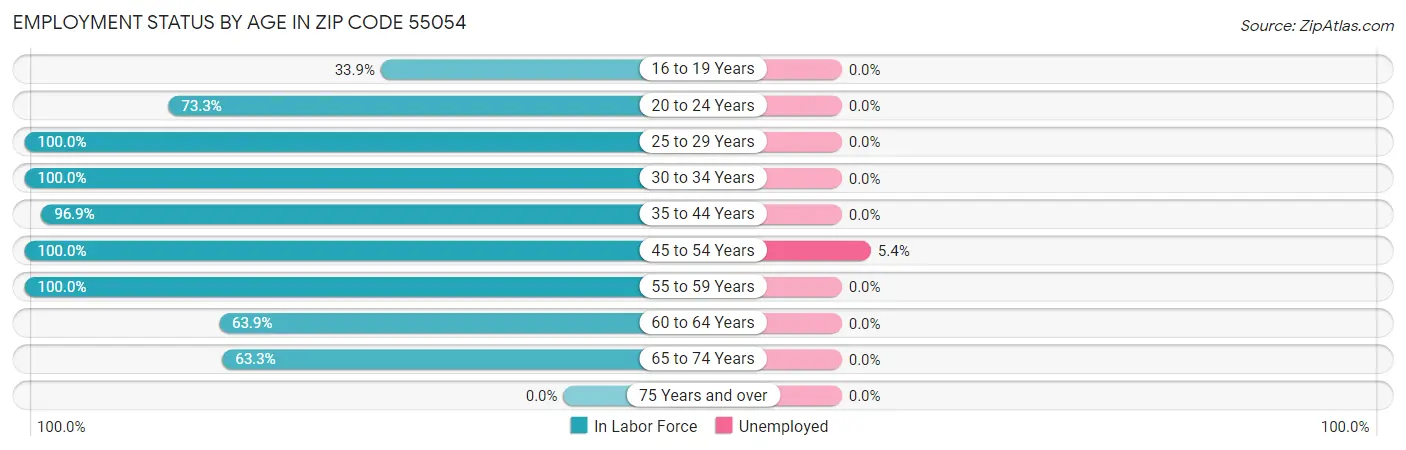 Employment Status by Age in Zip Code 55054