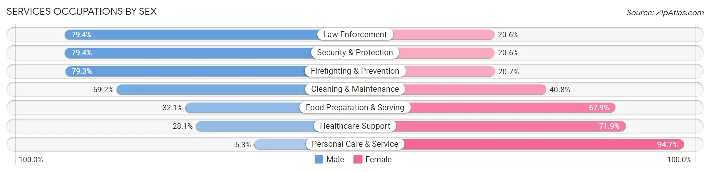 Services Occupations by Sex in Zip Code 55060