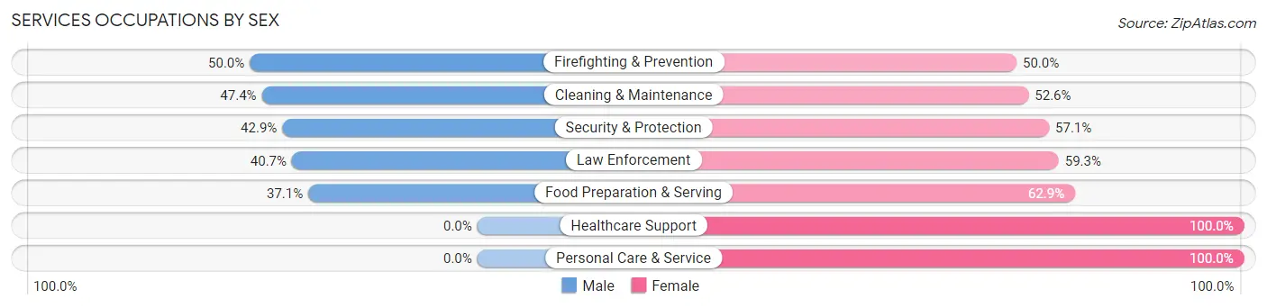 Services Occupations by Sex in Zip Code 55089