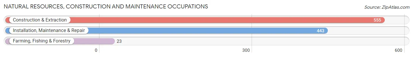 Natural Resources, Construction and Maintenance Occupations in Zip Code 55128