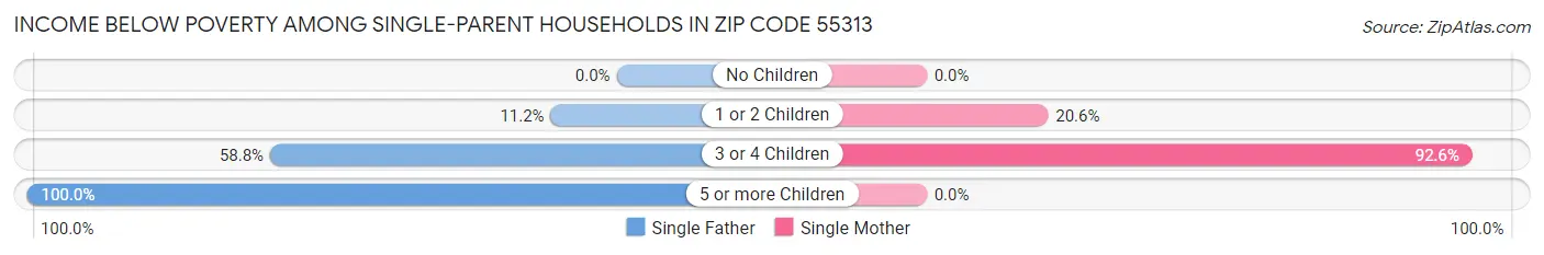 Income Below Poverty Among Single-Parent Households in Zip Code 55313