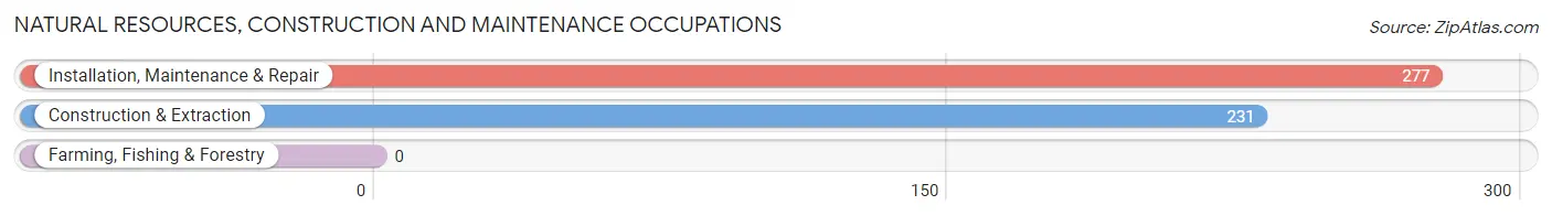 Natural Resources, Construction and Maintenance Occupations in Zip Code 55347