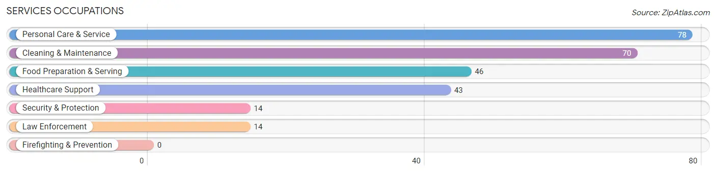 Services Occupations in Zip Code 55356