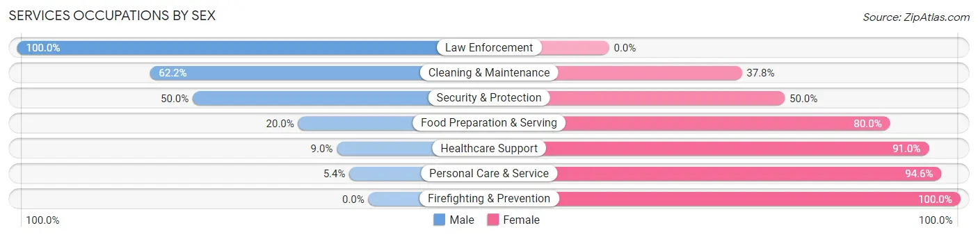 Services Occupations by Sex in Zip Code 55389