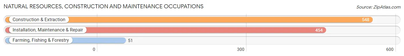 Natural Resources, Construction and Maintenance Occupations in Zip Code 55423