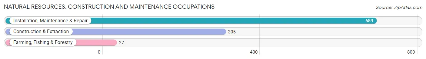 Natural Resources, Construction and Maintenance Occupations in Zip Code 55429