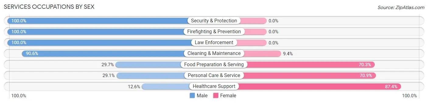 Services Occupations by Sex in Zip Code 55437