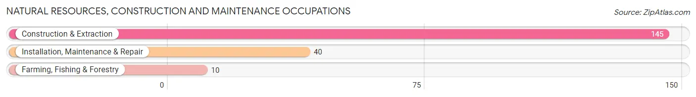 Natural Resources, Construction and Maintenance Occupations in Zip Code 55705