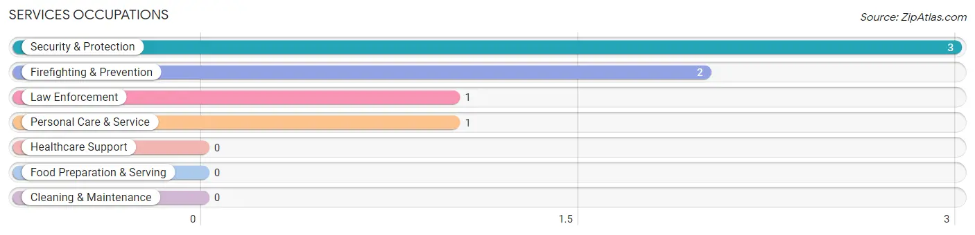 Services Occupations in Zip Code 55725