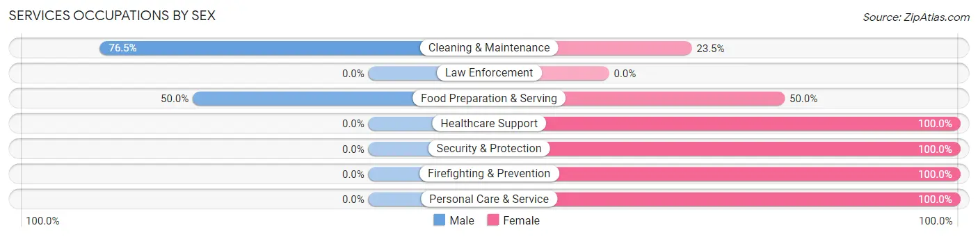 Services Occupations by Sex in Zip Code 55738