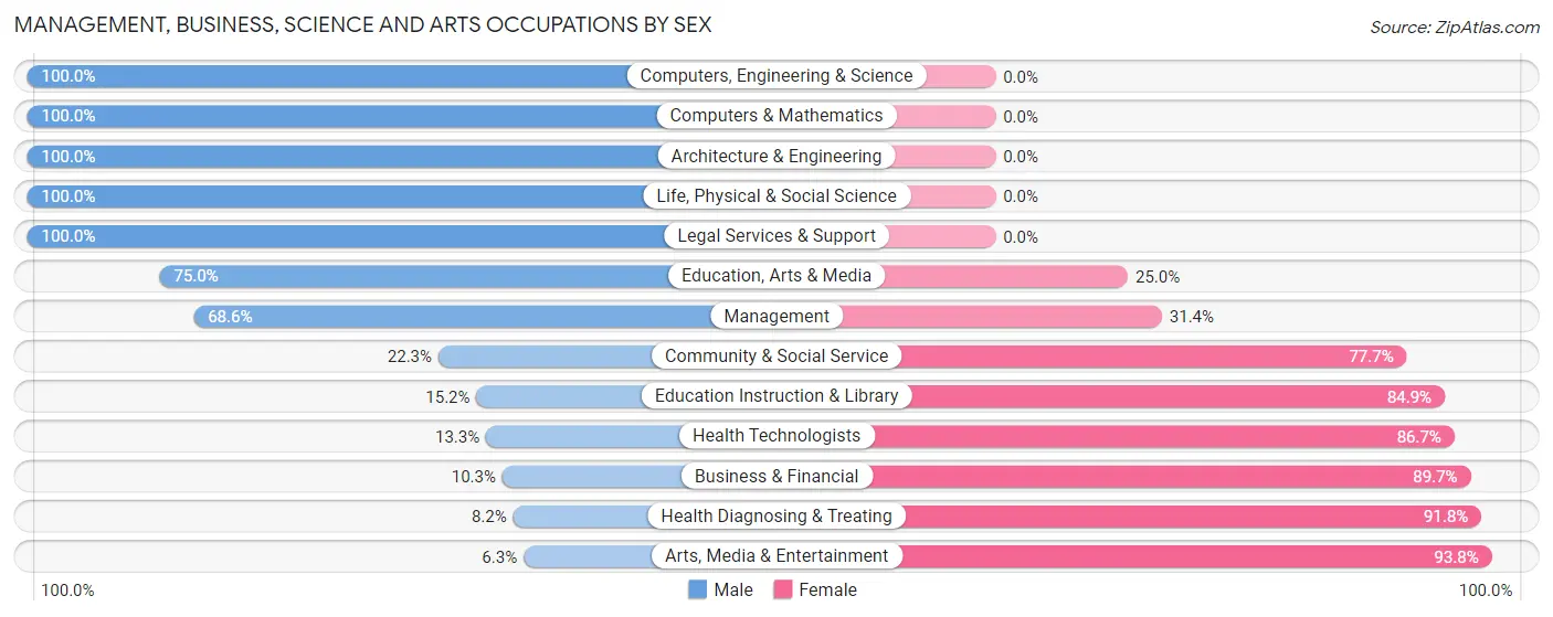 Management, Business, Science and Arts Occupations by Sex in Zip Code 55741