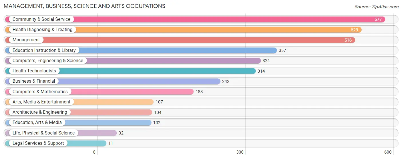 Management, Business, Science and Arts Occupations in Zip Code 55746