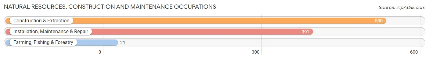 Natural Resources, Construction and Maintenance Occupations in Zip Code 55746