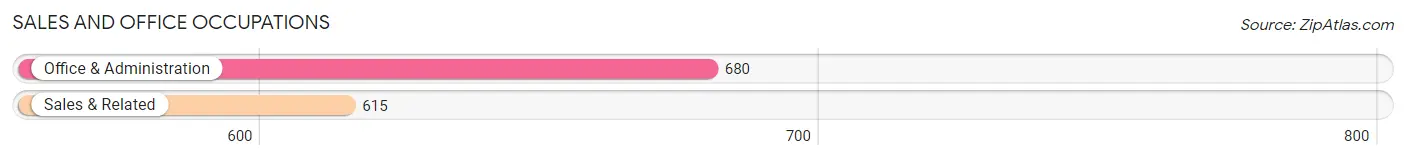 Sales and Office Occupations in Zip Code 55804