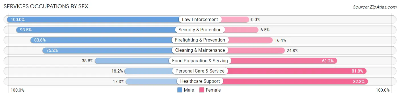 Services Occupations by Sex in Zip Code 55804