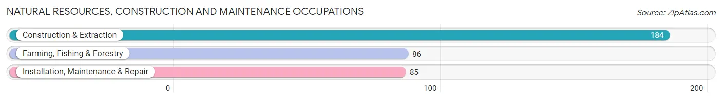 Natural Resources, Construction and Maintenance Occupations in Zip Code 55808