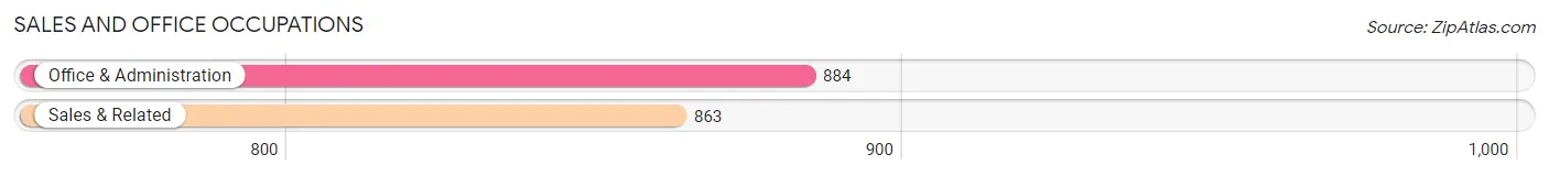 Sales and Office Occupations in Zip Code 55906