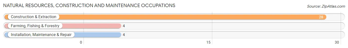 Natural Resources, Construction and Maintenance Occupations in Zip Code 55961