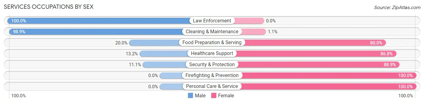 Services Occupations by Sex in Zip Code 55974