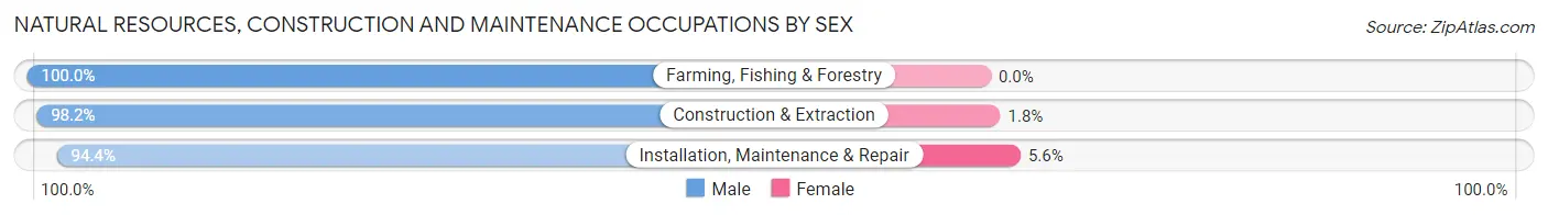 Natural Resources, Construction and Maintenance Occupations by Sex in Zip Code 56063