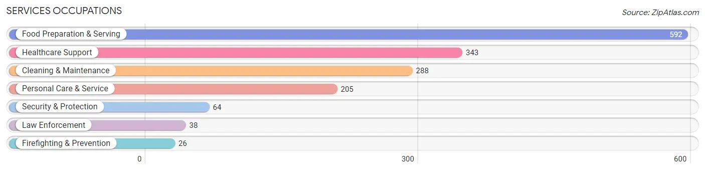 Services Occupations in Zip Code 56073