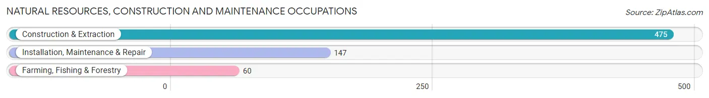 Natural Resources, Construction and Maintenance Occupations in Zip Code 56082