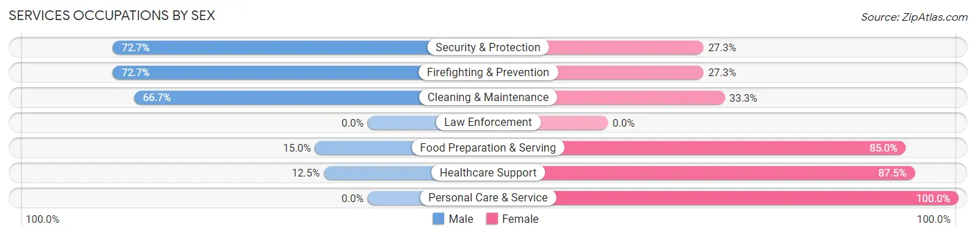 Services Occupations by Sex in Zip Code 56137