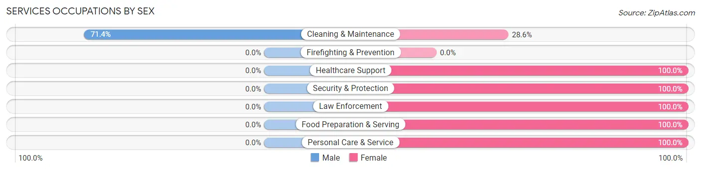 Services Occupations by Sex in Zip Code 56145