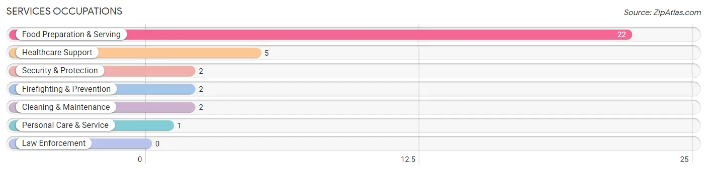 Services Occupations in Zip Code 56161