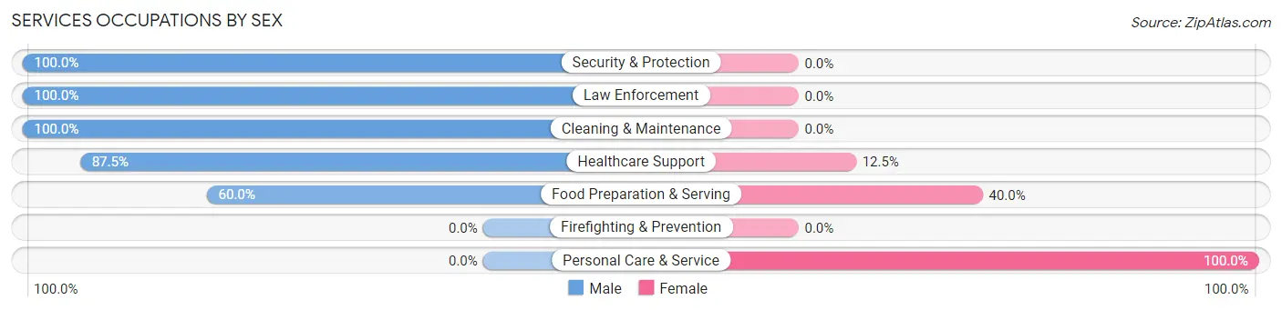 Services Occupations by Sex in Zip Code 56174