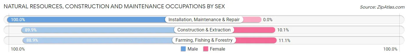 Natural Resources, Construction and Maintenance Occupations by Sex in Zip Code 56175