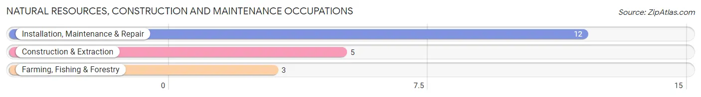 Natural Resources, Construction and Maintenance Occupations in Zip Code 56236