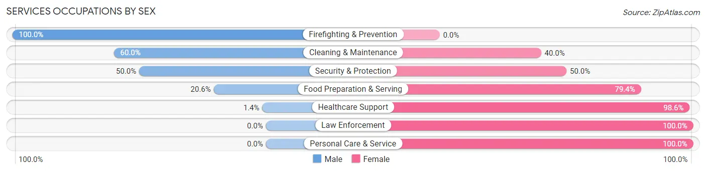 Services Occupations by Sex in Zip Code 56284