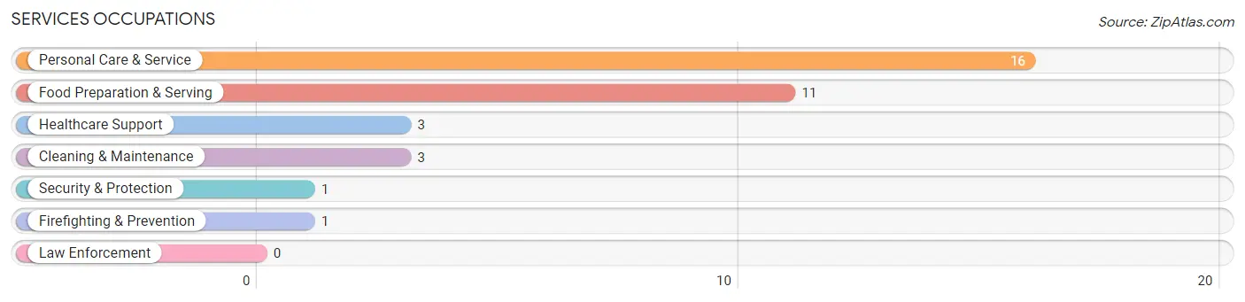 Services Occupations in Zip Code 56295