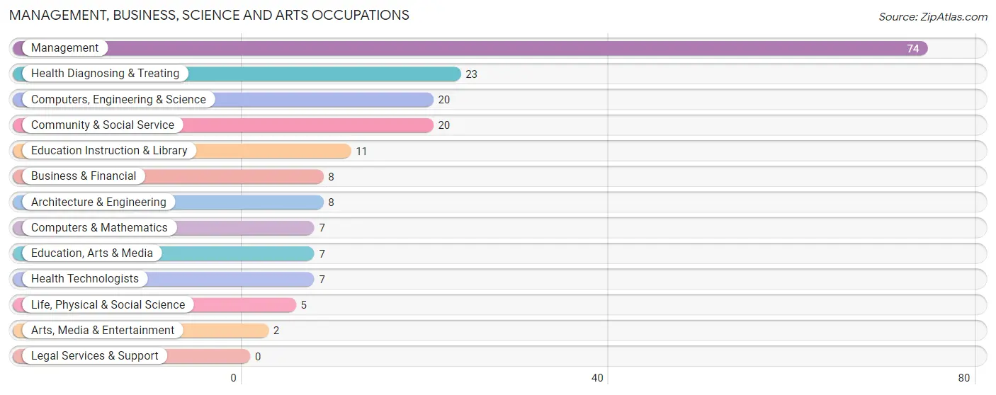 Management, Business, Science and Arts Occupations in Zip Code 56339