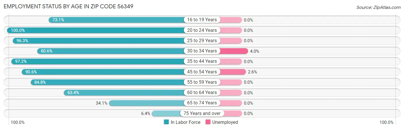 Employment Status by Age in Zip Code 56349