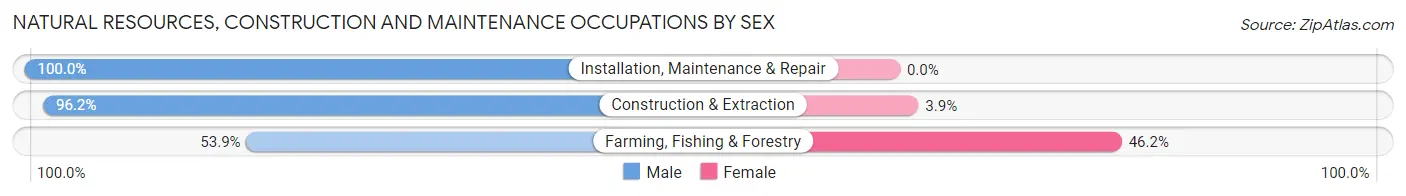Natural Resources, Construction and Maintenance Occupations by Sex in Zip Code 56349